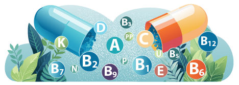 Bild zeigt Vitaminanalyse